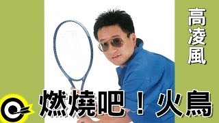 [閒聊] 安納金鳥毛被燒的時候在想甚麼