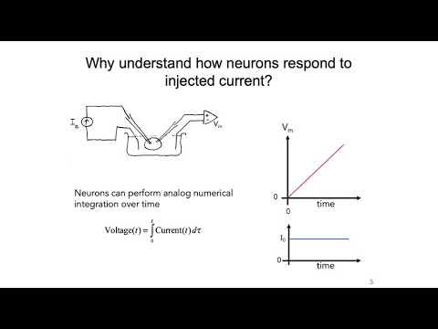 2: Resistor Capacitor Circuit and Nernst Potential - Intro to Neural Computation