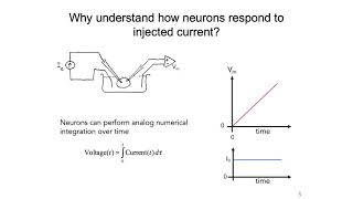 MIT 2: Resistor Capacitor Circuit and Nernst Potential