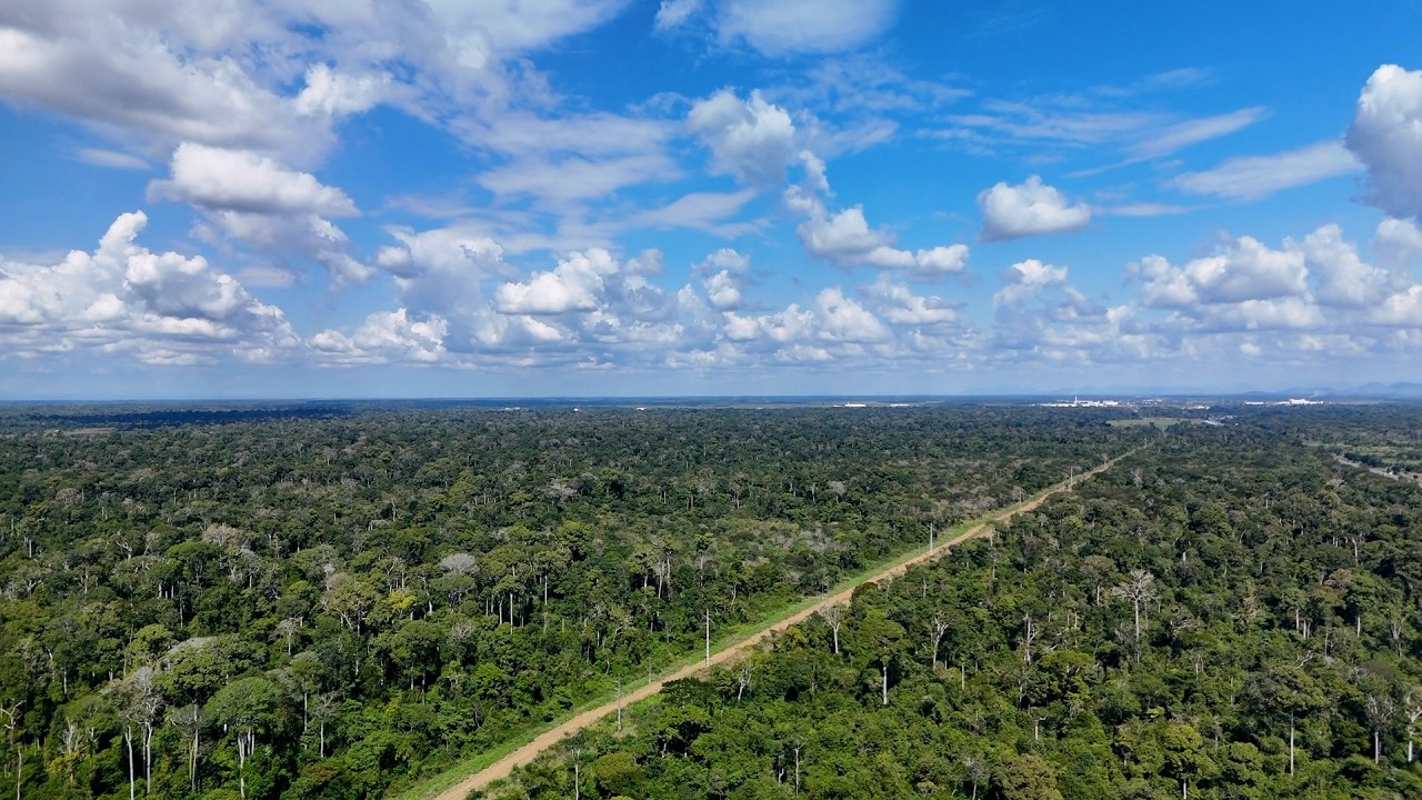 Captura de tela 2025-04-07 185410.png