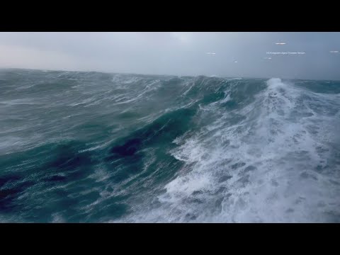 Video: Rogue wave hits cruise ship