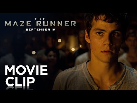 The Maze Runner (Clip 'Fight')