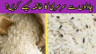 how to get rid of rice weevils|chawal se sursuri kese saf kren|#rice#weevils#worms#howto#diy#tips