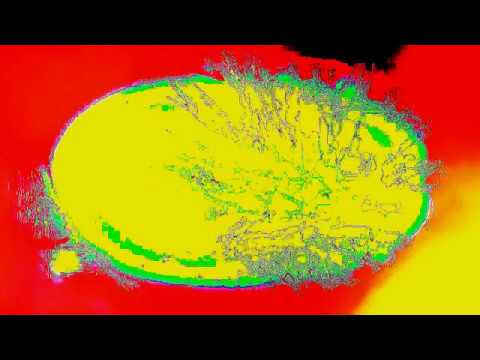 WOW! Free HD Motion graphics ~ VJ Loops / Club Visuals / Wallpaper / Visual Music / Abstract Art