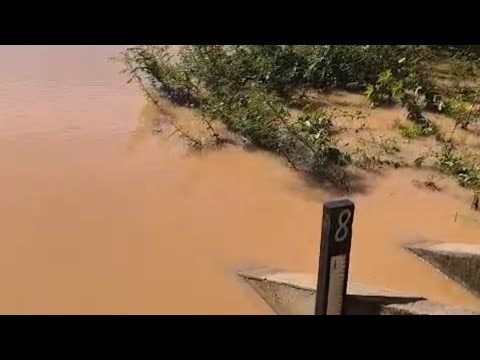 Rio São Francisco está baixando em manga MG 