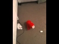 Tickle Me Elmo Couch Flip