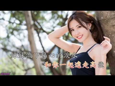 Ngu ngốc chờ đợi anh (Shǎ shǎ děng zhuó nǐ - 傻傻等着你 ) - Jiang Ying
