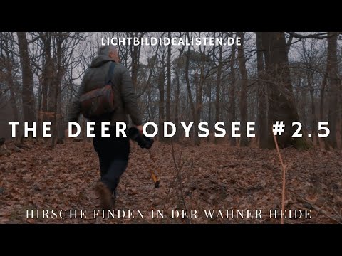 Darf man Wildlifespots preisgeben? Hirsche finden in der Wahner Heide - The Deer Odyssee #2.5