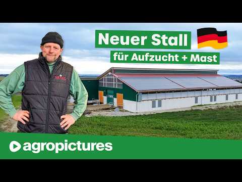 Neuer Tierwohl Stall für Rindermast und Jungviehaufzucht auf Stroh | Hetwin Astor Einstreuroboter