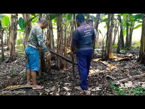 Cuidado com a onça,!😂😂