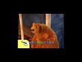 Bear In The Big Blue House Bear And Ray Good Morning Noggin S Move To The Music Version