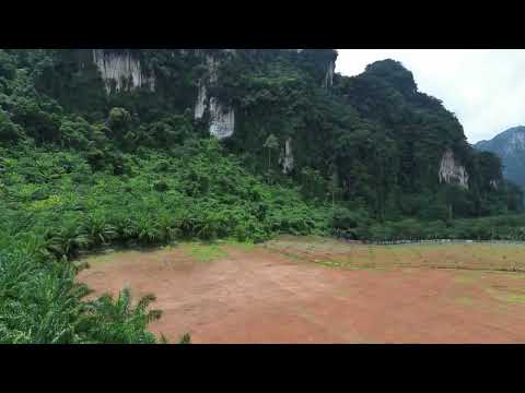 Breathtaking 14 rai of flat land with mountain view for sale in Khao Thong, Krabi