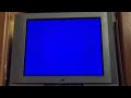 Opening To Alpha And Omega 2022 Homemade VHS