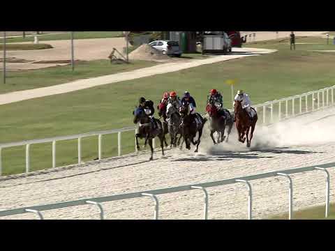 2020.10.04. 02. futam - VADÁSZ ÉS VERSENYLAP HENDIKEP (IV.o.) (szintetikus pálya)