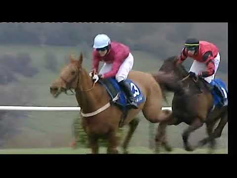 2009 Coral Cup - Cheltenham Festival