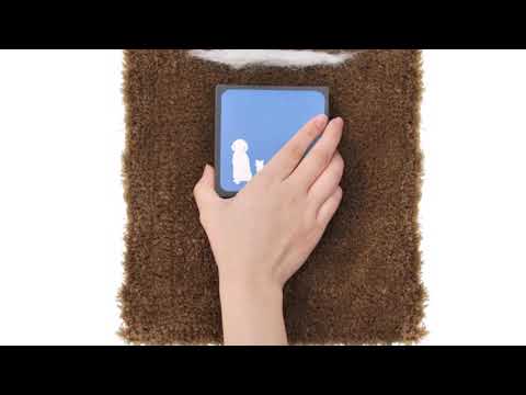 Haustier-Haare einfach entfernt