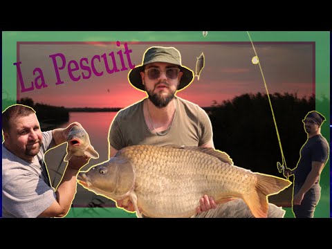 Rizescu's Vlog - La pescuit ! Norocul Incepatorului (Cristian Rizescu&Vlad) 2020