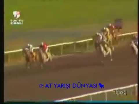 26/09/2005  ELAZIĞ                  27/09/2005   İSTANBUL                        AT YARIŞLARI  İZLE