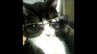 ♪♫ Walking On The Streets - Freddy MaCcrey / Original Song