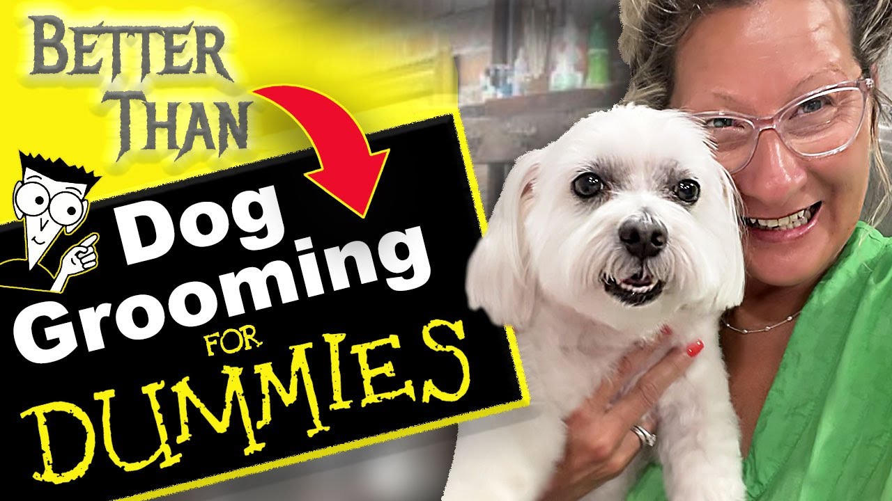 Dog Grooming Steps for Dummies