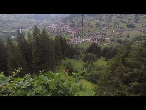 Rakesh Sokal Eurotrip - Grindelwald View (Switzerland 2018)