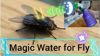 How to Get Rid of Flies at Home | Magic Water Home Remedy | Best Remedy for Flies