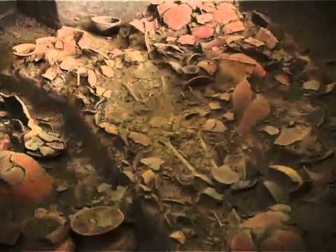 ภาพประกอบ วีดิทัศน์