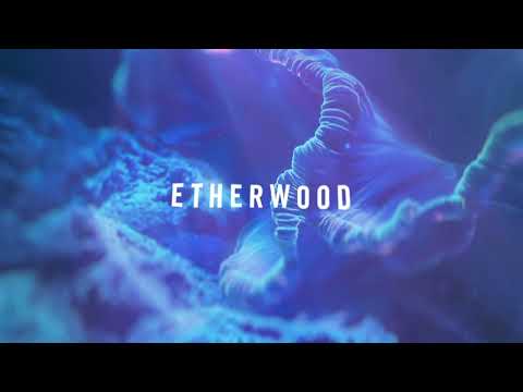 Etherwood - Deep Dive