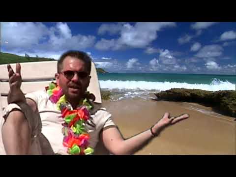 Cerchioni - basta me ne vado alle hawaii ( OFFICIAL VIDEO ) Riddim : Ciro Princevibe Pisanelli