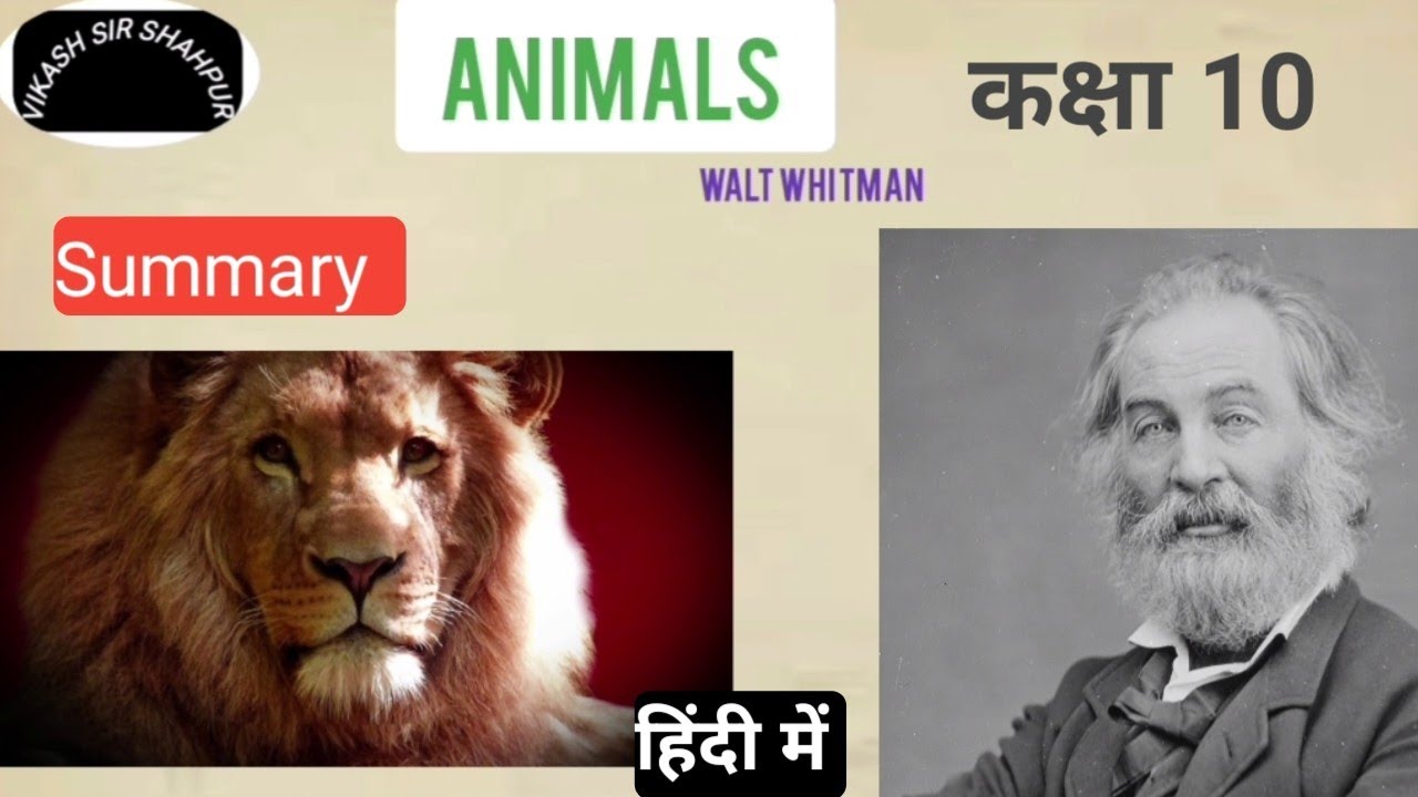 animals by walt whitman class 10 | animals summary in hindi | animals by walt whitman explanation |