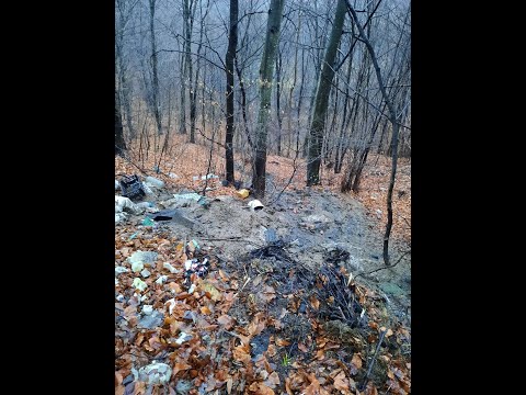 LA FEDELESOIU, ATENTAT LA SANATATE PRIN DEJECTII PORCINE