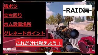 【CODモバイル】サーチ講座 -RAID編-
