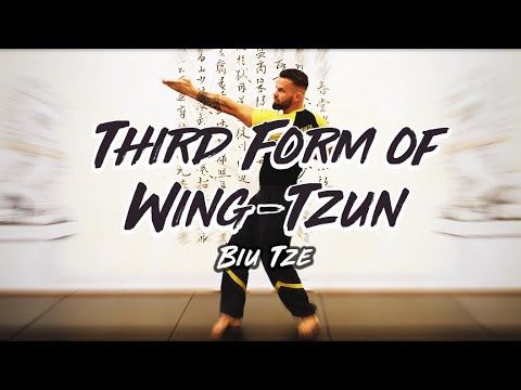 MWTA // Third Form Of Wing-Tzun - Biu Tze