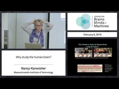 1.3 Why study the human brain?