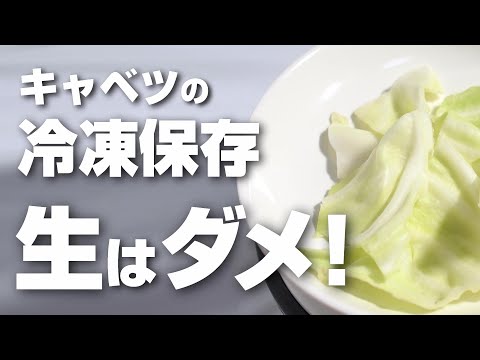 サボイキャベツの冷凍:正しい方法は? 植物