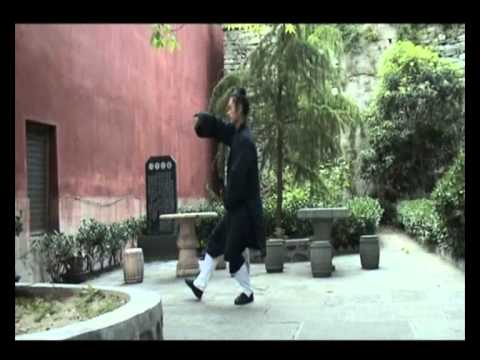 Sanfeng 28 Taijiquan Zhong Xue Yong