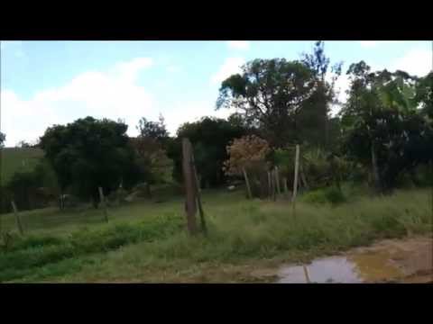 INVERNADA DA SAUDADE - LUIZ FERNANDO E JOÃO PINHEIRO