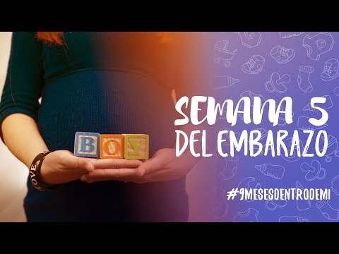Semana 5 de Embarazo.