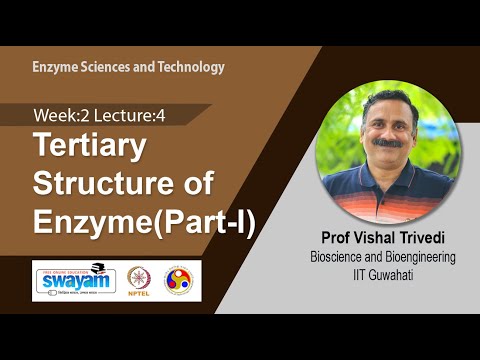 Enzyme Sciences and Technology Intro Video