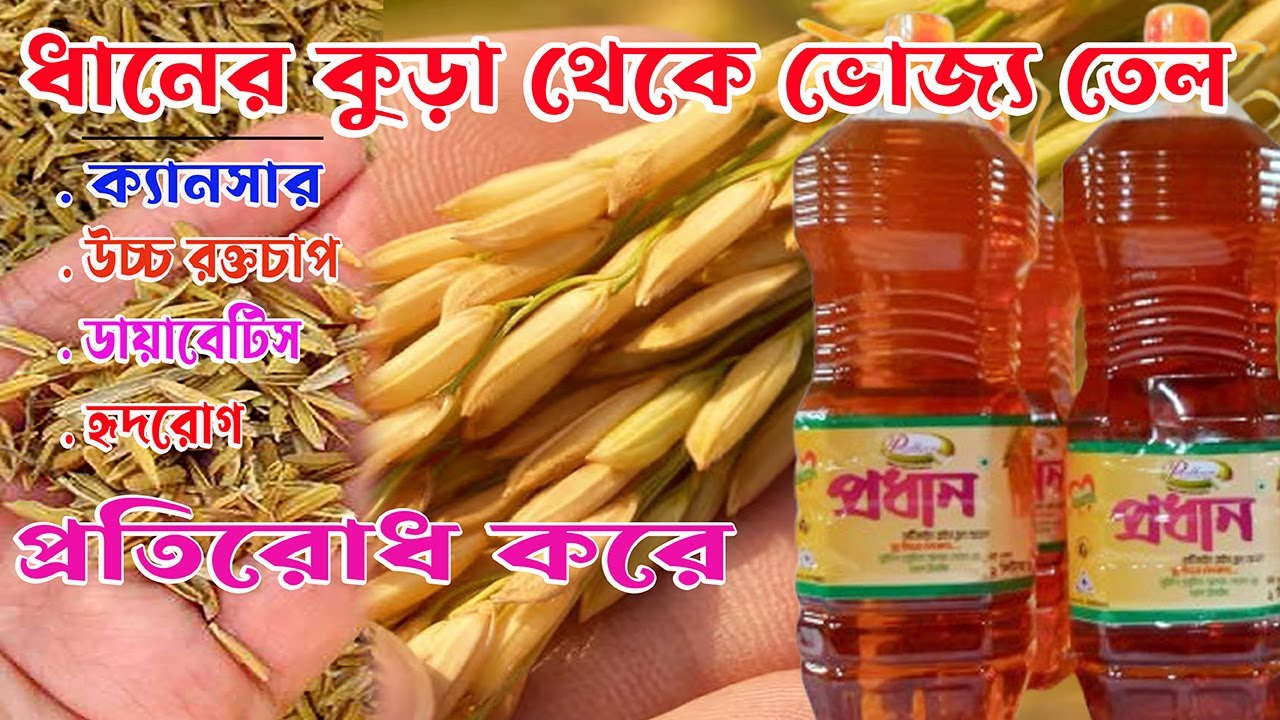 ধানের কুড়ার তেলে বিস্ময়কর পুষ্টিগুণ, রোগ প্রতিরোধে রাখছে কার্যকর ভূমিকা