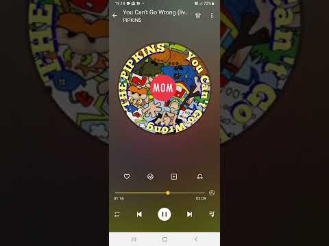 You Can't Go Wrong THE PIPKINS (Greenaway & Burrows)