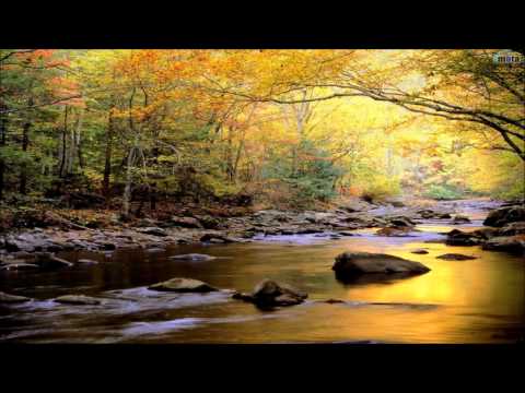 ☊ Yankle Vs. Maor Levi - Travelling (Maor Levi Bangin Mix) [Fraction Records]