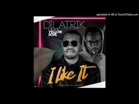 Dilatrik - I Like It ft. Yellow Dove