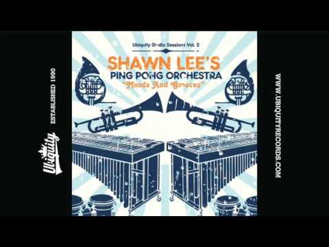 Shawn Lee's Ping Pong Orchestra: 26