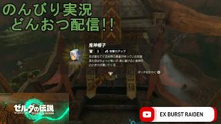 どんおつ配信「ゼルダの伝説 ティアーズオブザキングダム」23