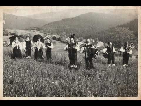 Ansambel bratov Avsenik - Mladost Prehitro Mine