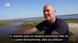Miniatura do vídeo