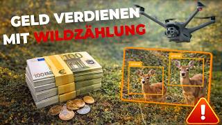 Geld verdienen mit Wildzählung?! – So funktioniert es wirklich! (Drohnendienstleister)