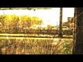 Magik Markers - Risperdal (from Balf Quarry)