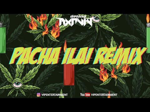 PACHA ELAI Remix ll Dj Mxrvin ll ViPEC ll #newyear #2023